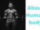 ABOUT HUMAN BODY
